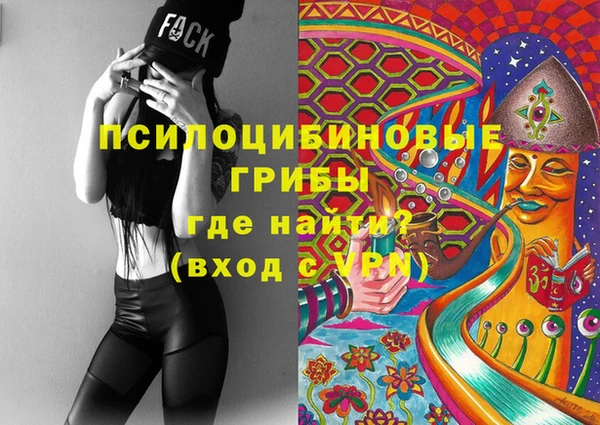 кокаин Белокуриха