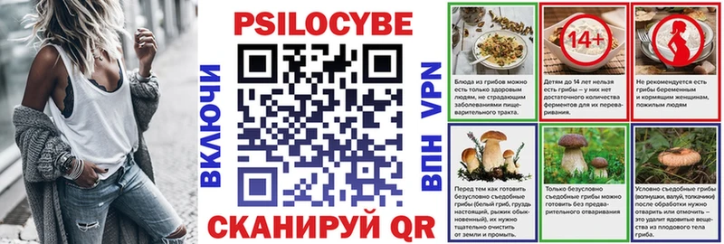 Псилоцибиновые грибы Magic Shrooms  darknet наркотические препараты  МЕГА вход  Курильск  где можно купить наркотик 