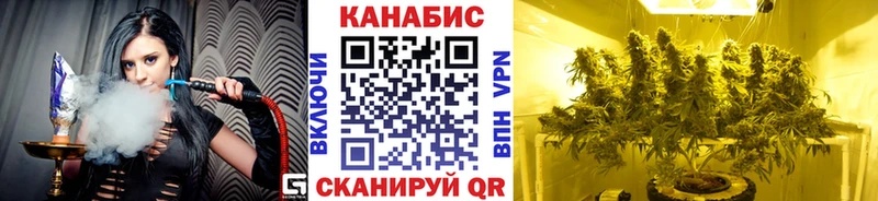 где купить   Курильск  Марихуана Bruce Banner 